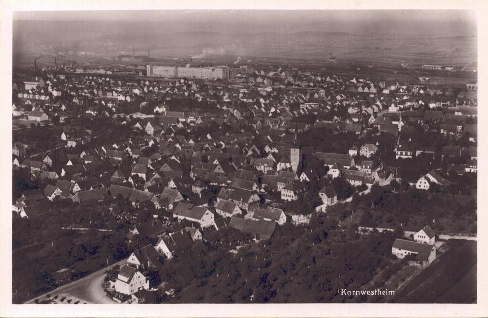 Kornwestheim Salamander