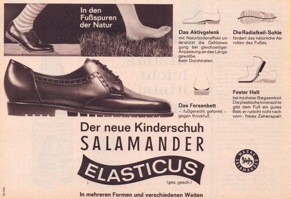 Elasticus Salamander